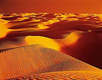 不止恋爱！可玩性，游戏性更强的真人互动游戏惊现steam商店页